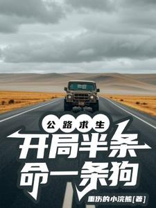 公路求生开局一辆脚踏车